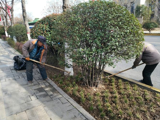 西安浐灞生态区七标段3月8日绿化养护工作日志