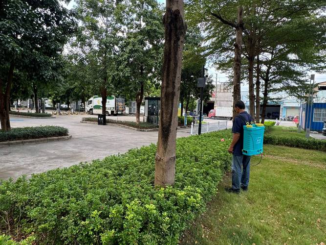 园林绿化在商业空间中的应用场景与适配方向分析