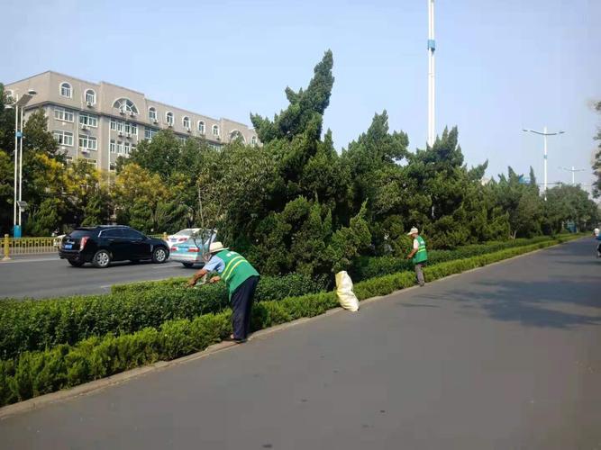 一标段格瑞恩9.9绿化养护工作汇报