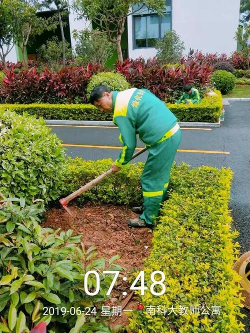 校园绿化养护汇报2019.6.24